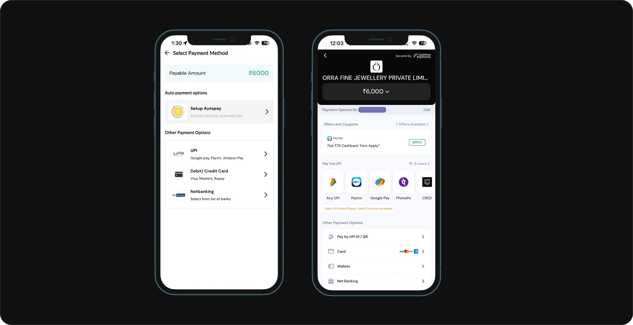 The rebuilt payment step: a payable amount, autopay, and UPI, card and netbanking as separate choices, then the gateway with UPI apps, wallets and cards laid out.