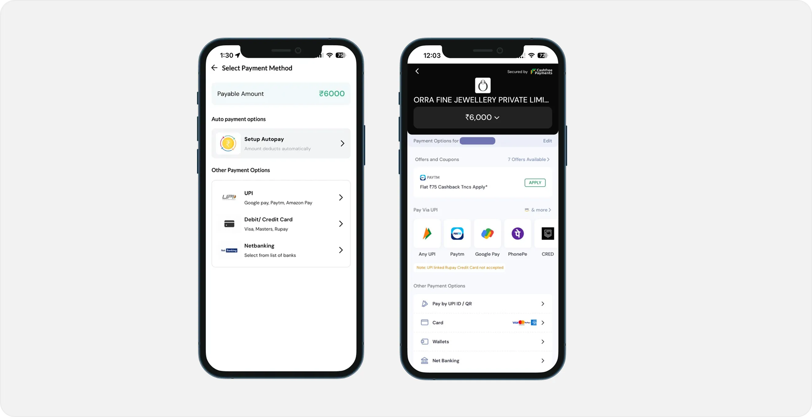 The rebuilt payment step: a payable amount, autopay, and UPI, card and netbanking as separate choices, then the gateway with UPI apps, wallets and cards laid out.